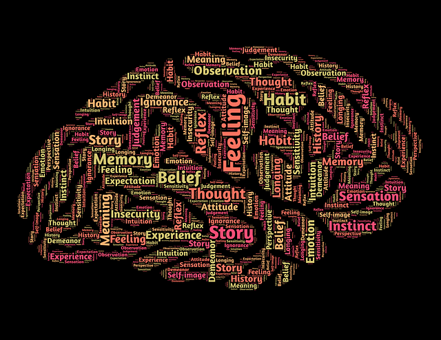 la programmation neuro linguistique (PNL) à beaugency (45190) : thérapies